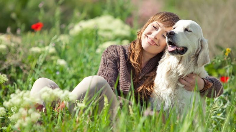 10 Effective Ways To Enhance Your Dog’s Happiness