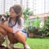 8 Comprehensive Guide to Pet Care For First-Time Owners