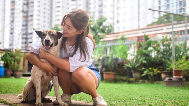 8 Comprehensive Guide to Pet Care For First-Time Owners