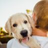 9 Best Dog Care Tips For New Pet Owners