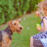 9 Best Dog Breeds For Families With Children