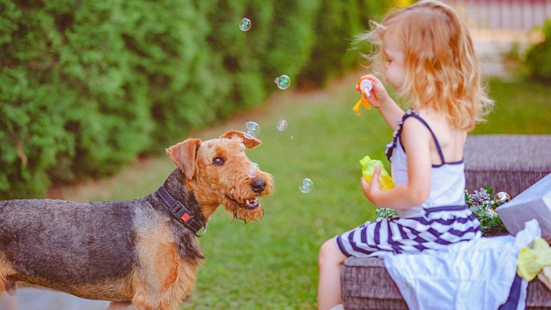 9 Best Dog Breeds For Families With Children