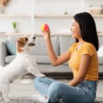 10 Effective Strategies for Training Your Puppy