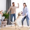 10 Pet Bonding Activities For Stronger Relationships