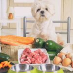 9 Best Dog Nutrition Tips For Health